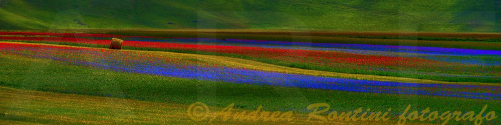 Cod.06-45 Castelluccio-0